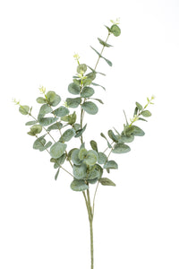 Eucalyptus Cinerea artificiel - 1 branche - Vert-gris