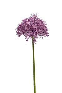 Allium artificiel - 1 tige - Violet