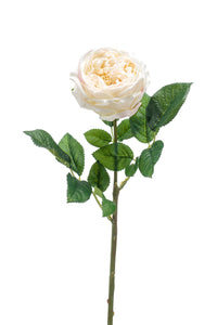 Artificial english rose - 1 stem - Cream