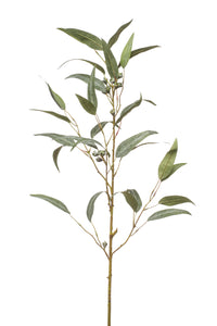 Eucalyptus Willow avec fruits artificiel - 1 branche - Vert-gris