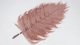 Lederfarn konserviert 80 cm - 1 Bund - Blush - Si-nature